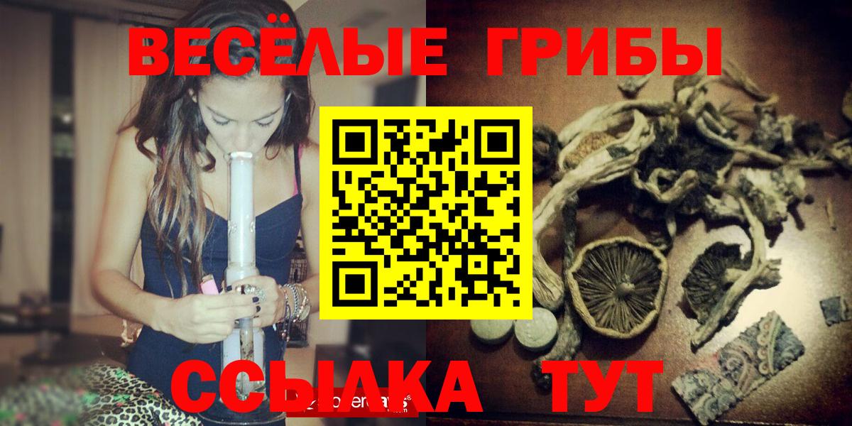 Галлюциногенные грибы мицелий Междуреченск