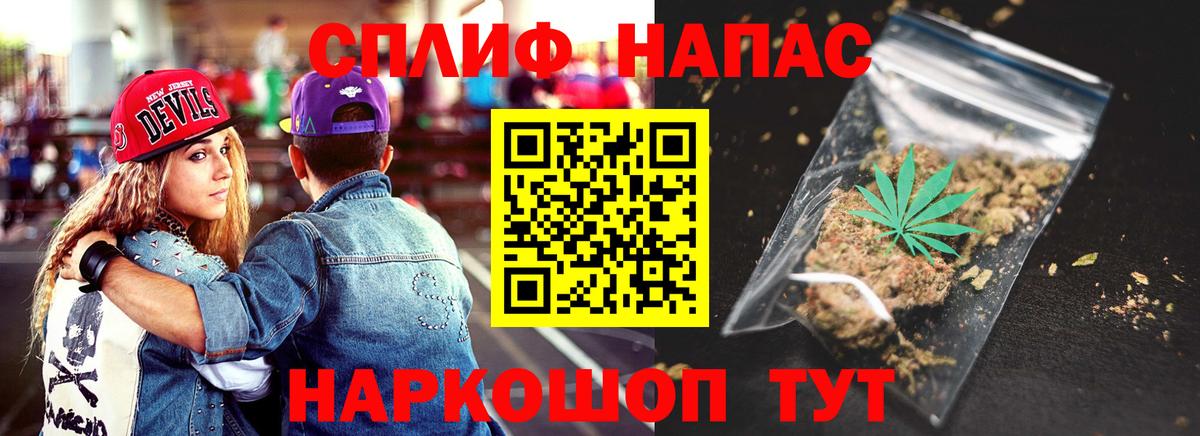 Конопля гибрид Междуреченск